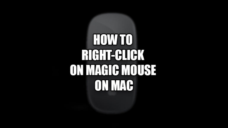 Как щелкнуть правой кнопкой мыши Magic Mouse на Mac (2023 г.)