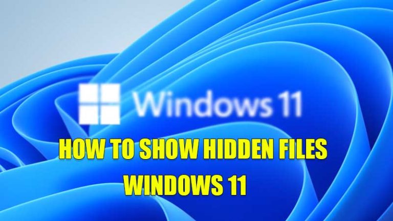 Как показать скрытые файлы в Windows 11 (2022)