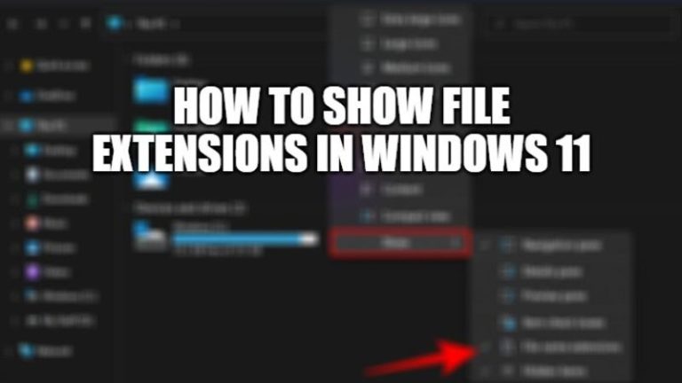 Как показать расширения файлов в Windows 11