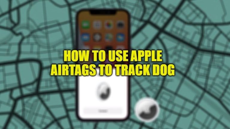 Как использовать Apple AirTags для отслеживания собак (2023 г.)