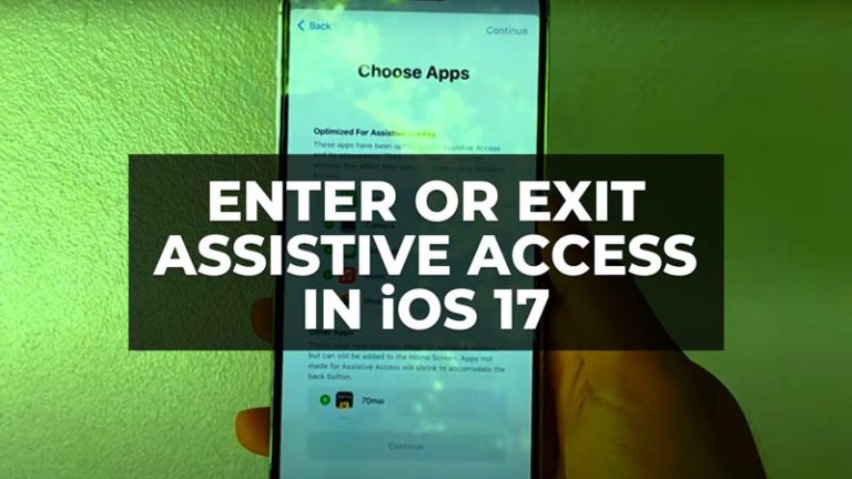 Как войти или выйти из вспомогательного доступа в iOS 17